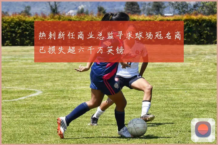 热刺新任商业总监寻求球场冠名商已损失超六千万英镑
